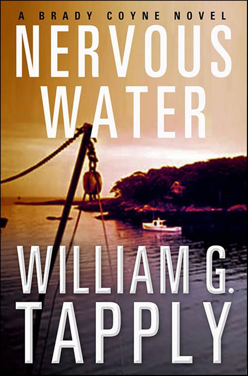 Nervous Water, The Brady Coyne Mysteries