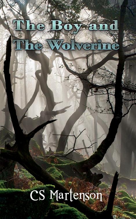 This image is the cover for the book The Boy and the Wolverine