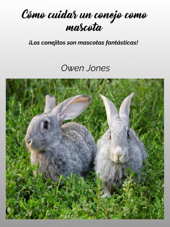 Cómo cuidar un conejo como mascota, Cómo...
