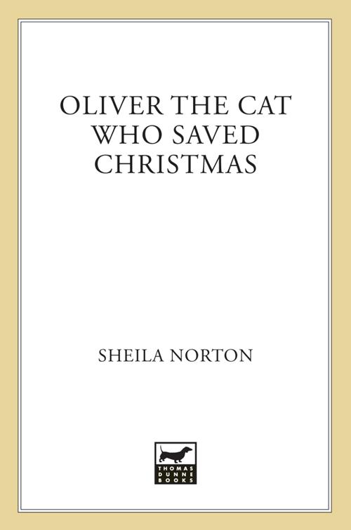 Oliver the Cat Who Saved Christmas