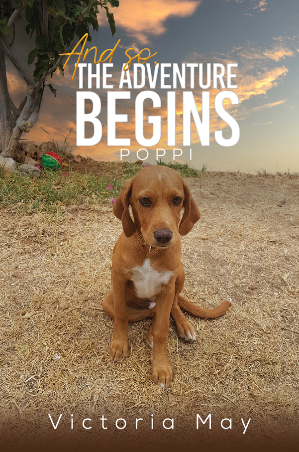 This image is the cover for the book And so, the Adventure Begins