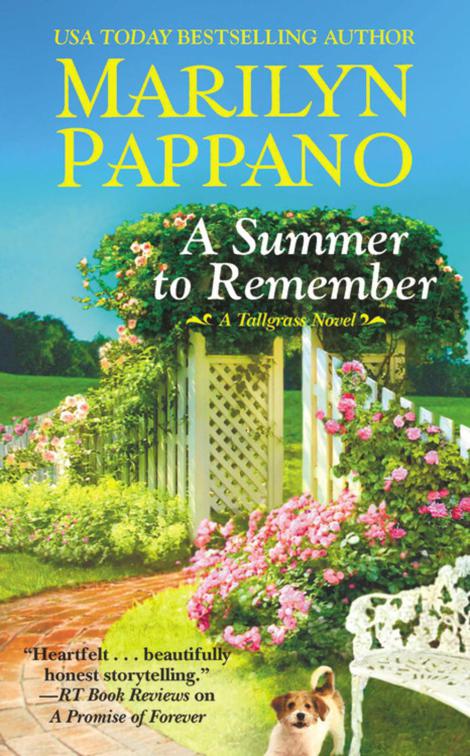 Summer to Remember, Tallgrass Novels