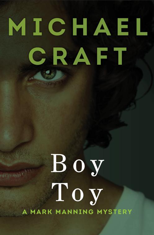 Boy Toy, The Mark Manning Mysteries