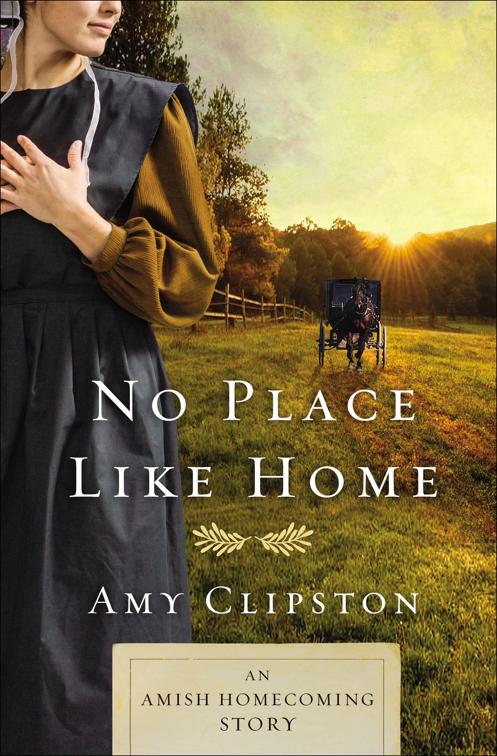 No Place like Home, Amish Homecoming Stories