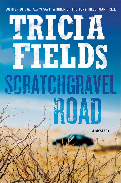 Scratchgravel Road, Josie Gray Mysteries