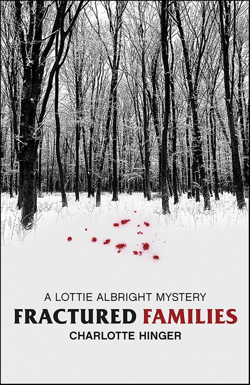 Fractured Families, Lottie Albright Mysteries