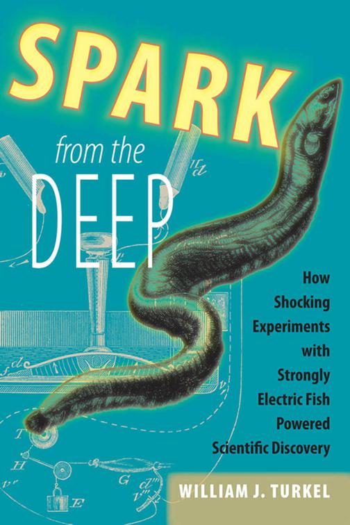 Spark from the Deep, Animals History Culture