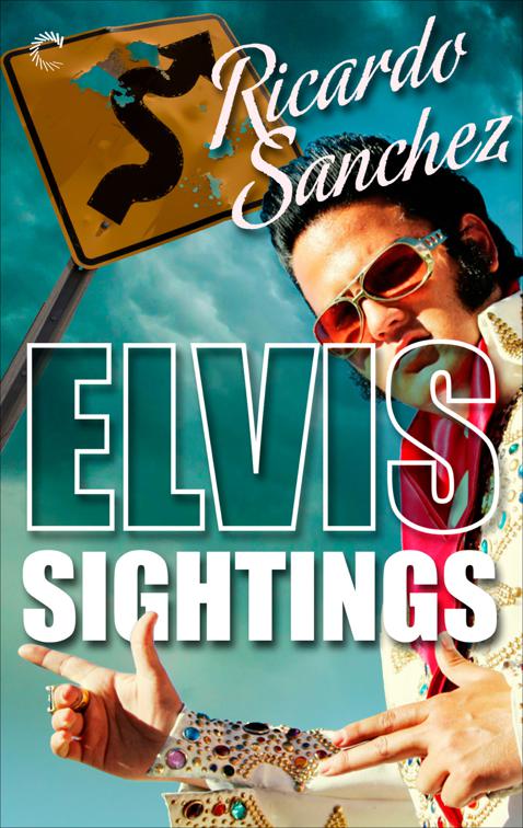 Elvis Sightings, The Elvis Sightings Mysteries