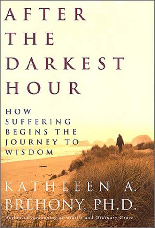 After the Darkest Hour