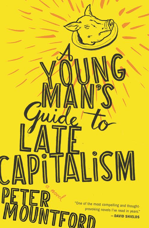 Young Man&#x27;s Guide to Late Capitalism