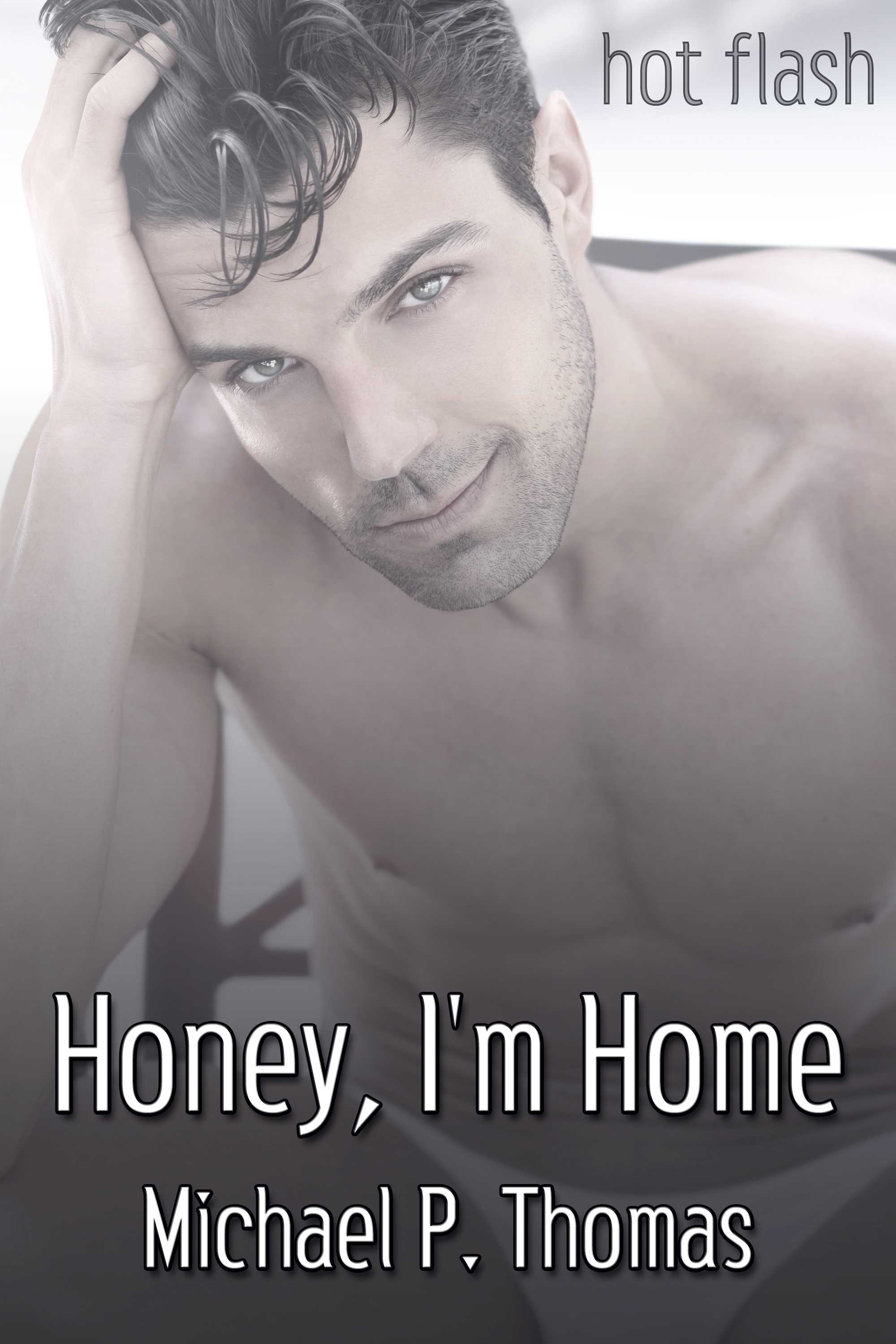 This image is the cover for the book Honey, I'm Home, Hot Flash