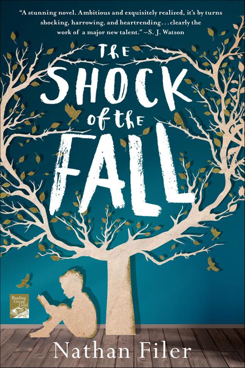 Shock of the Fall