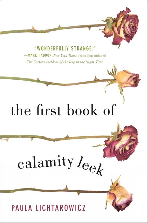 First Book of Calamity Leek