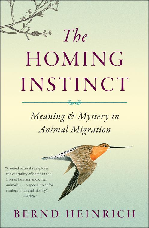 Homing Instinct