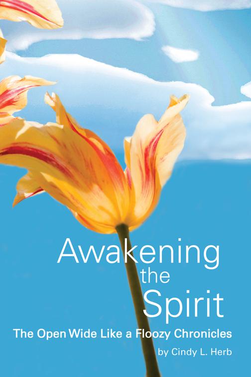 Awakening the Spirit