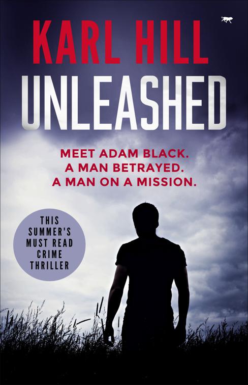 This image is the cover for the book Unleashed, The Adam Black Thrillers