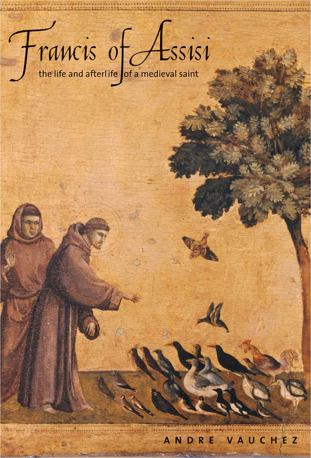 This image is the cover for the book Francis of Assisi