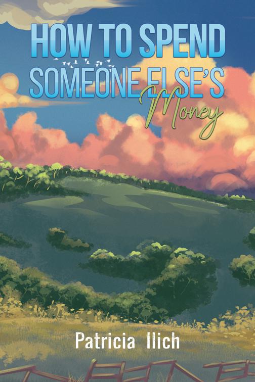 How to Spend Someone Else&#x27;s Money