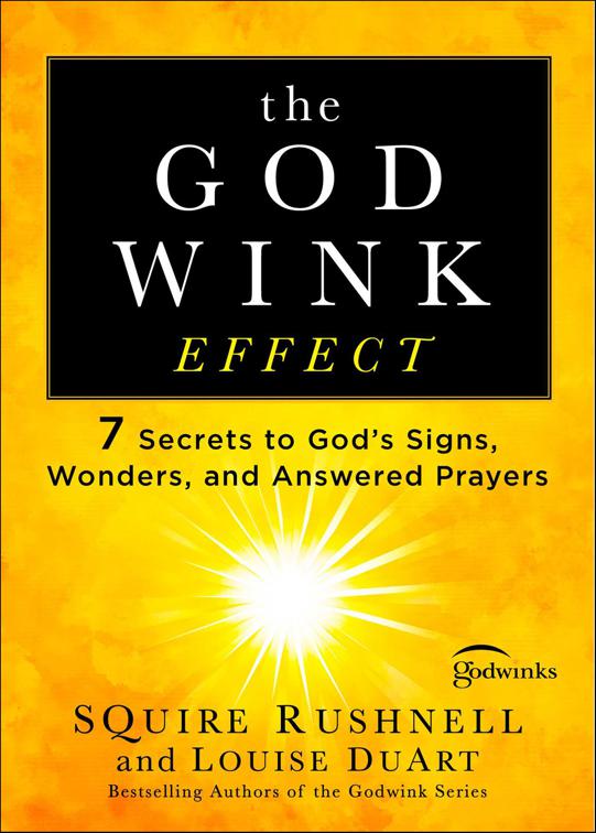 Godwink Effect, The Godwink Series