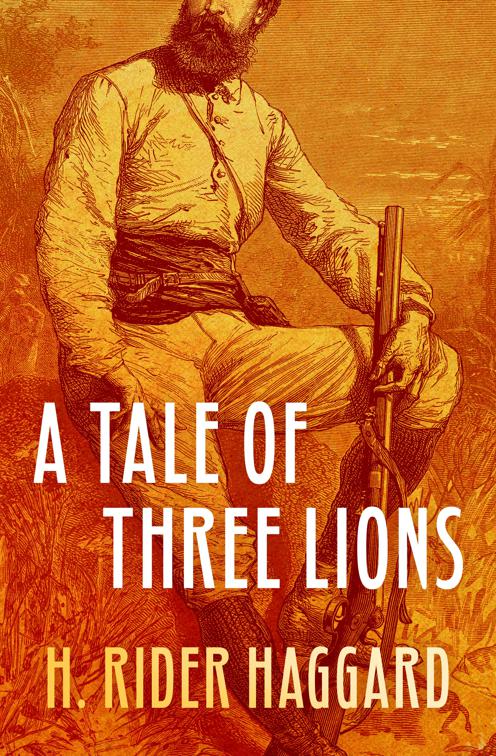 Tale of Three Lions, Allan Quatermain