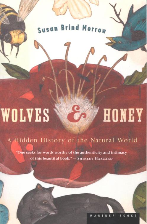 Wolves &amp; Honey