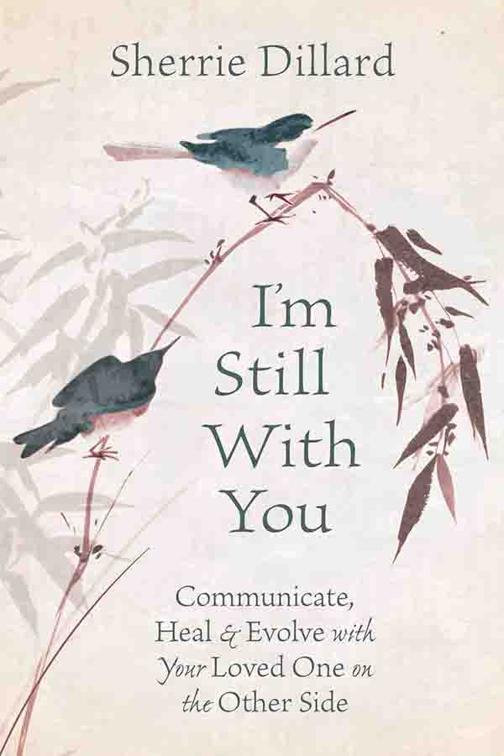 I&#x27;m Still With You