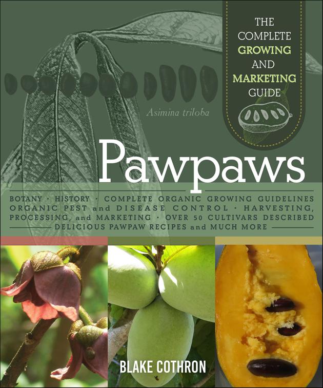 Pawpaws