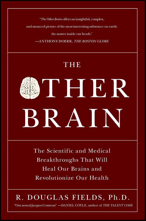 Other Brain