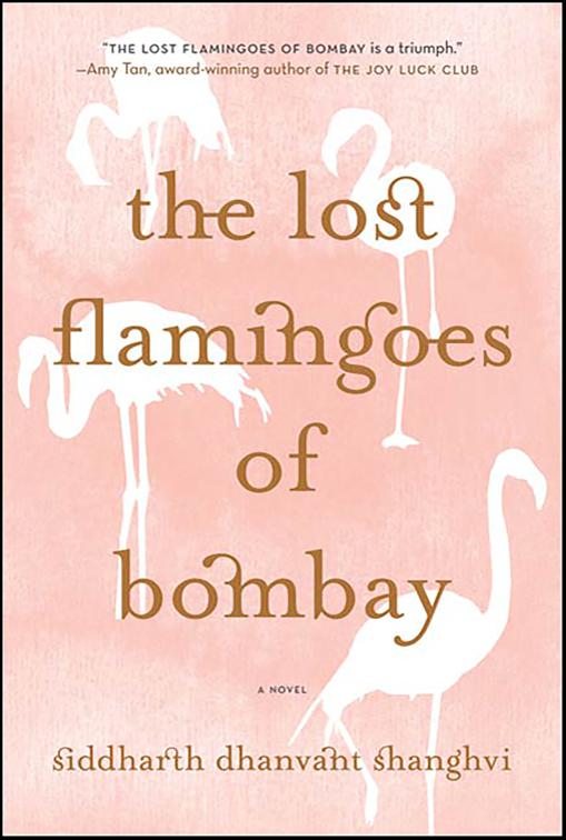 Lost Flamingoes of Bombay