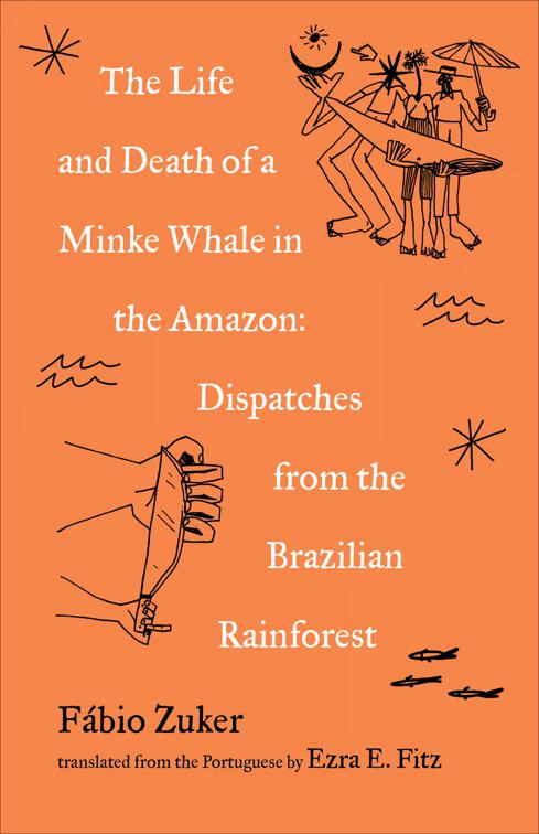 Life and Death of a Minke Whale in the Amazon