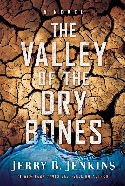 Valley of the Dry Bones
