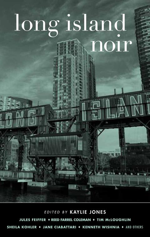 Long Island Noir, Akashic Noir