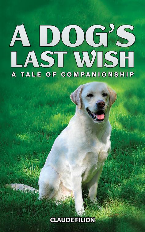 A Dog’s Last Wish