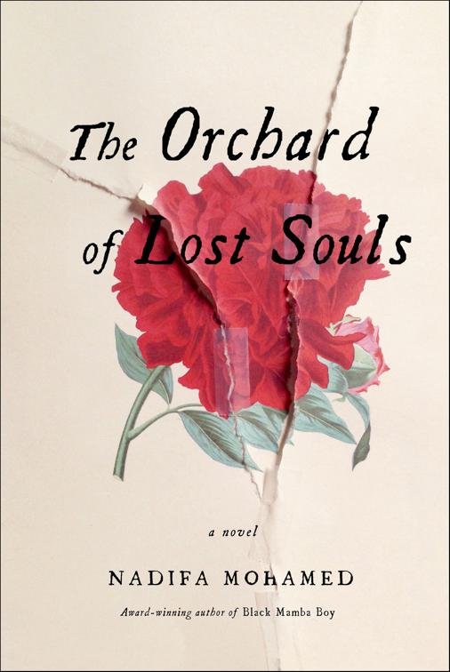 Orchard of Lost Souls