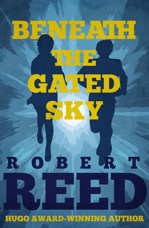 Beneath the Gated Sky, Veil of Stars