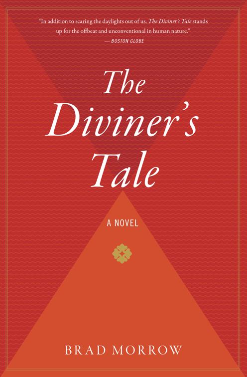 Diviner&#x27;s Tale