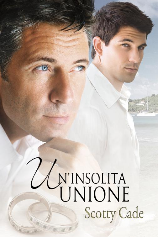 Un&#x27;insolita unione, Serie Un&#x27;insolita