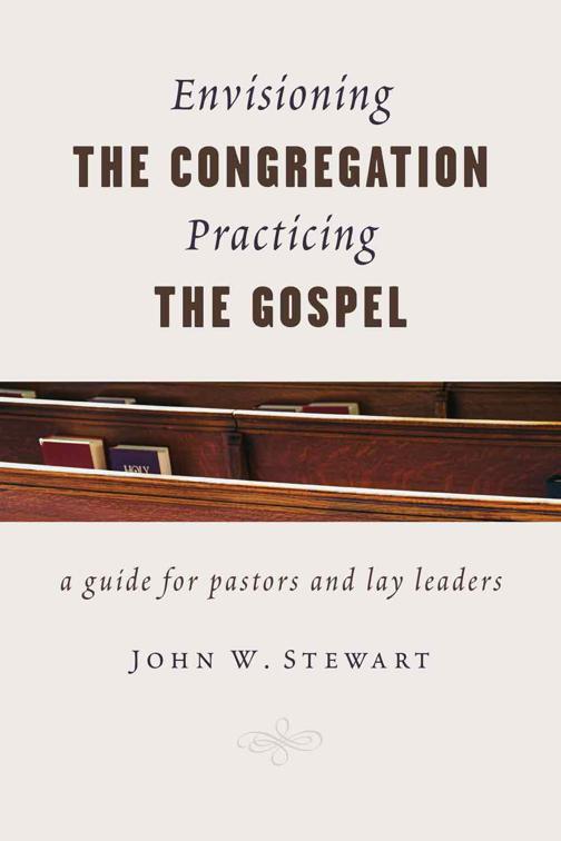 This image is the cover for the book Envisioning the Congregation, Practicing the Gospel