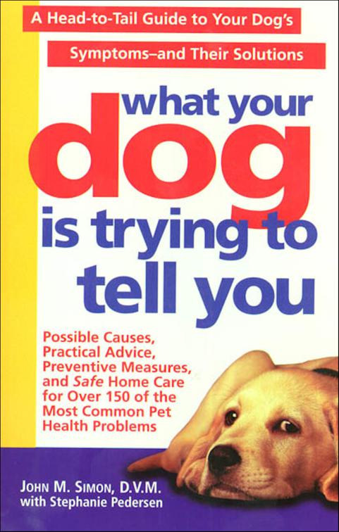 What Your Dog Is Trying to Tell You