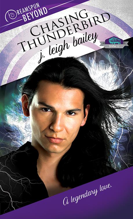 This image is the cover for the book Chasing Thunderbird, Dreamspun Beyond