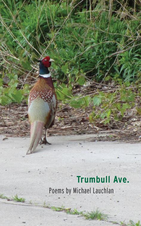 Trumbull Ave., Made in Michigan Writers Series