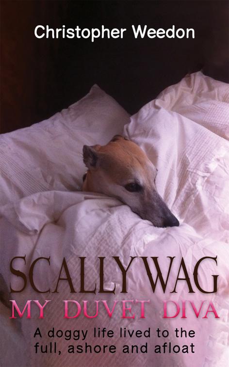 Scallywag – My Duvet Diva