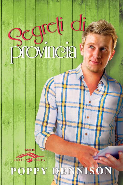 Segreti di provinica, Serie Holly Creek