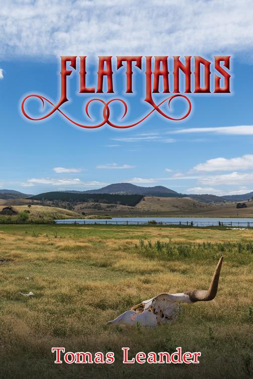 Flatlands