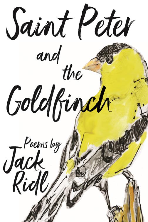 Saint Peter and the Goldfinch, Made in Michigan Writers Series