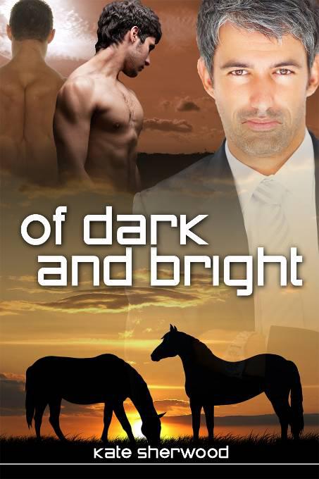 Of Dark and Bright, Dark Horse Series