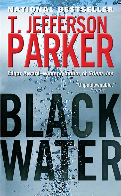 Black Water, The Merci Rayborn Thrillers