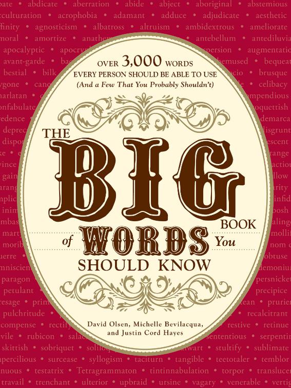 This image is the cover for the book Big Book of Words You Should Know