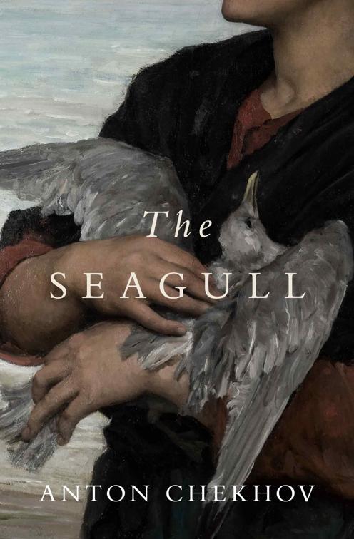 Seagull