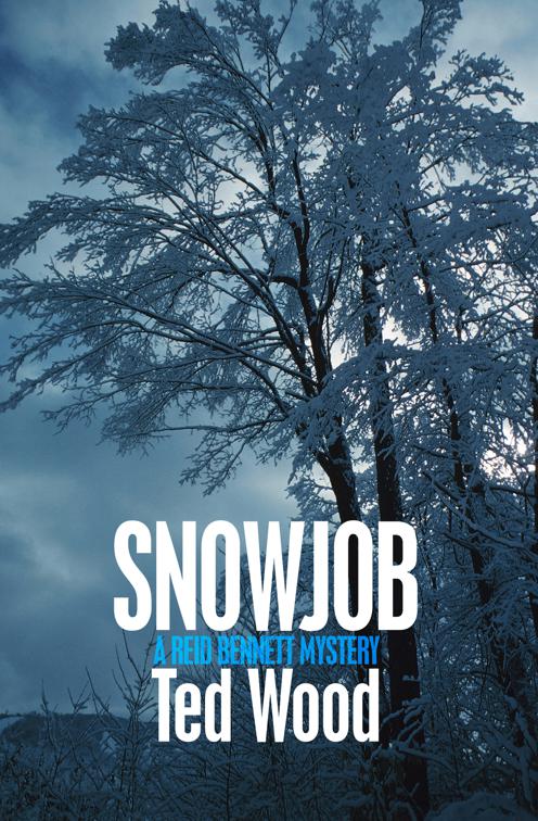 Snowjob, The Reid Bennett Mysteries